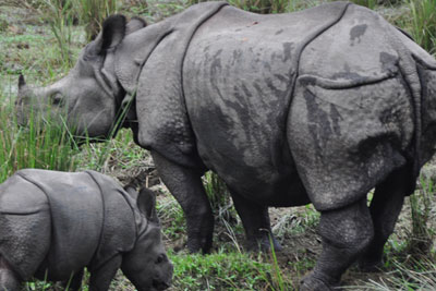 Chitwan National Park