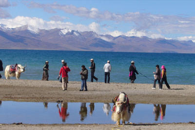 Nam Tso Lake Trek